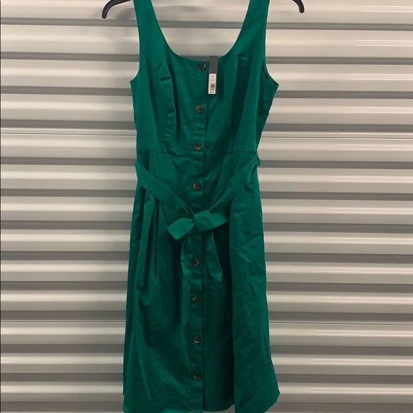 The Limited Dresses & Skirts - Forest Green Belted The Limited Dress